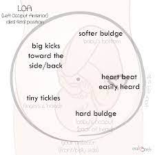 Belly Mapping Is Your Body Going In The Right Direction Esali Birth