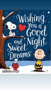 Good Night & Sweet Dreams ߘ ԰ߌٰߒĢݤ️, #snoopylover #snoopy #snoopyfan  #snoopydog #snoopyforever