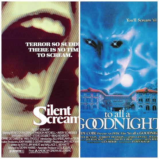 Thoughts on The Silent Scream (1979) & To All a Goodnight (1980) … two very  forgotten & obscure post-Halloween & pre-Friday the 13th slashers :  r/slasherfilms