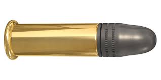 The biathlon rifle itself is unlike other weapons of the same caliber. Polar Biathlon 22 Lr Lapua