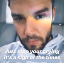 Just Stop Your Crying It S A Sign Of The Times Meme Pin By A V E R Y On Liam In 2020 One Direction Memes Stupid Memes Reactions Meme