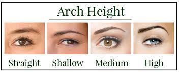 Eyebrow Shapes Different Eyebrow Shapes