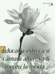 Pin By Tatiana Gheorghies On Divin True Words Just Do It Funny Quotes