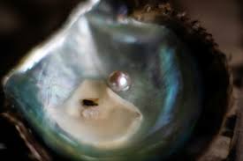 In this case it is like porcelain more than mother of pearl, so it is not desirable on any market. Pearls Of Wisdom Japan S Cultured Farms Still Glisten Egypt Independent
