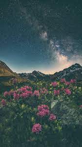 Hd wallpapers and background images Aesthetic Nature Wallpapers Wallpaper Cave