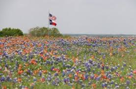 If friction exists between the estranged birth parent and you as. Giving Up A Baby For Adoption In Texas