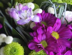 Check spelling or type a new query. Introducing Flower Hours Green Bay News Network