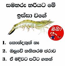 Status Image By Nileesha Nethmi In 2020 Friends Quotes Jokes Photos Love Quotes