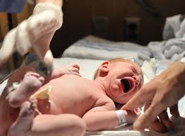 If the diaper is too high, fold it down on your baby before securing. How To Take Care Of My Baby S Umbilical Cord Babies