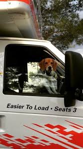 Don T Worry Snoopy Still Left 2 Seats Available Uhaulfamous U Haul Truck Moving Truck Moving Supplies