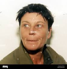 Bailey brown hi-res stock photography and images