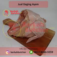Harga Terbaik Tlp Wa 0812 8044 5559 Supplier Boneless Paha Sayap Ayam Ayam Daging