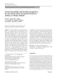 Image result for Synsepalum revolutum