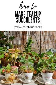 Check spelling or type a new query. How To Make Teacup Succulent Gardens Helen Edwards Writes