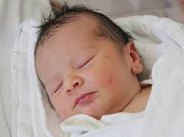 Fotogalerie: Miminka z Klatovska z 24. července 2017.