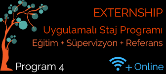 psikoloji staj programi rasyonel psikoloji enstitusu psikoloji pozitif psikoloji egitim
