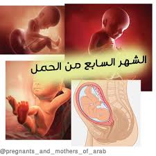 الشهر السابع من الحمل poster movie posters art
