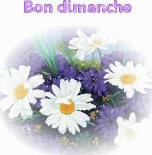 Résultat de recherche d'images pour "dimanche fleur"