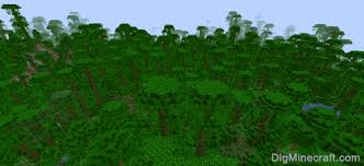In minecraft, the jungle biome is known for its extremely tall jungle trees, vegetation, and wildlife. Minecraft Jungle Seeds For Java Edition Pc Mac