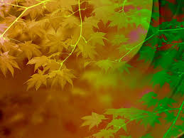 Over 40,000+ cool wallpapers to choose from. Hd Pallets Wallpapers Peakpx