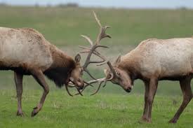 318101 notez cette vidéo : Point To A Growing