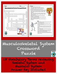 A 13 question printable skeletal system crossword with answer key. Pin On Brighteyed For Science