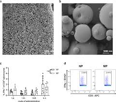 A successful cancer strategy to fight the condition. Plga Particle Vaccine Carrying Tlr3 Rig I Ligand Riboxxim Synergizes With Immune Checkpoint Blockade For Effective Anti Cancer Immunotherapy Nature Communications