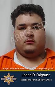 Sheriff Tim Soignet Announces Arrest of Gray Man in Ongoing SVU  Investigation August 22, 2025 Terrebonne Parish Sheriff Tim Soignet  announced the arrest of Jaden Desean Falgoust, 20, of Gray, in connection
