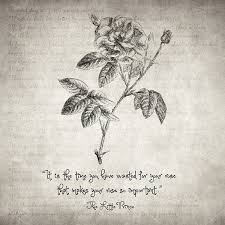 The Little Prince Rose Drawing Sketch Pencil On Paper Old Vintage Texture Fairy Tale Fantasy Flowe Rose Quotes Little Prince Quotes The Little Prince