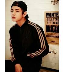 ارنبي المثير bts story