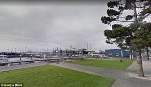 Pictured Geelong Bride Who Stabbed Brother In Law In The Face With Wedding Cake Knife Daily Mail Online