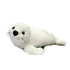 Pin On Animals Of The Sea
