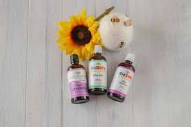 We did not find results for: Essential Oils For Skin Rash Bumblebee Apothecary
