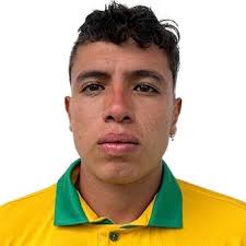 Profile Jair Cerda, Aguacateros de Peribán: Info, news, matches and  statistics