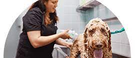 U can do it dog wash & grooming. Petco Self Serve Dog Wash Stations Petco