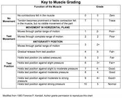 Mmt Grades Sada Margarethaydon Com