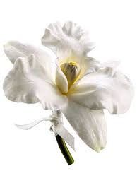 Wholesale silk flowers las vegas. 1 Source For Artificial Flowers And Plants Orchid Corsages Artificial Flowers And Plants Cattleya Orchid
