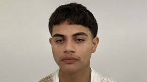 Mexican teen in US illegally is charged as adult for attempted murder of  Arizona trooper