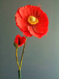 Heart shaped box flowers nirvana. Poppy Prop From Hsb Video In Utero Tour Nirvana