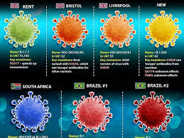 Con la variante lambda, las cepas del coronavirus identificadas en estados unidos ascienden a siete. Covid Dopo Delta E Kappa Spunta Nuova Variante Lambda Preoccupa Gli Scienziati E Un Insieme Di Mutazioni