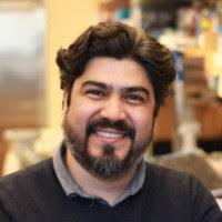 90+ "Perales" profiles