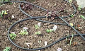 We did not find results for: How To Build A Bog Garden Around Your Pond