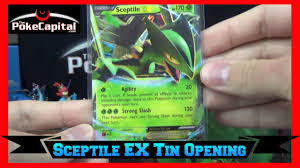 This pokémon is very agile—it leaps all over the branches of trees and jumps on its foe from above or behind. Pokemon Cards Sceptile Ex Tin Opening Youtube