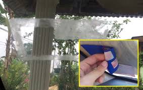 We did not find results for: Cara Tanggalkan Gam Pelekat Road Tax Lama Petua Ibu