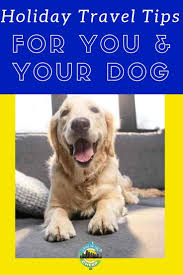 Visiting Family Or Friends With A Dog Dogs Your Dog Cheap Pets