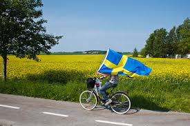 They arrive there in a carriage procession from the royal palace. Swedish National Day Celebrate Or Not To Celebrate That Is The Question Study In Sweden