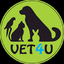 Carmen ienci si formatia live canta cucu batal vina de rasuna bucovina. Karaoke Fdlb Karaoke Fdlb Canta Cucu Bata L Vina Versuri Facebook