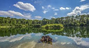 Vizualizezi cele 105 unitati de cazare din regiunea sibiu si imprejurimi. Cazare Viena Cazare Austria Pensiuni Viena Si Hotel Cazare Viena Ieftin Cu Parcare Gratuita Si Transfer