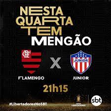 We did not find results for: Flamengo Tenta Assegurar Lideranca Na Libertadores Sbt Transmite Cidadeverde Com