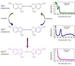Molecules Free Full Text Radical Scavenging By Acetone A New Perspective To Understand Laccase Abts Inactivation And To Recover Redox Mediator Html